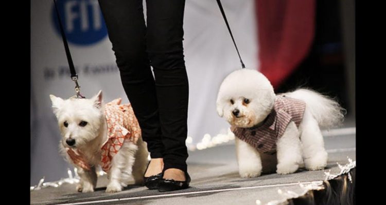 NY Pet Fashion Show