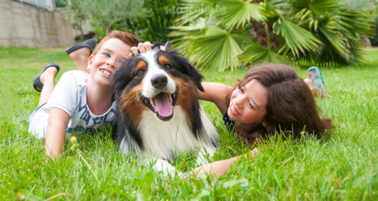 Pet Sitter Course For Kids
