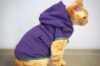 Petco Cat Clothes
